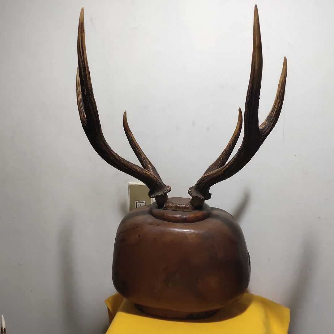 鹿の頭骨 2本角付き 煮沸済み 鹿の頭骨 2本角付き 煮沸済み 鹿の頭骨 2