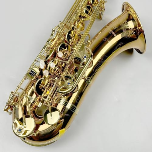 Amazon.co.jp: YANAGISAWA T-WO20 テナーサックス ブロンズブラス製