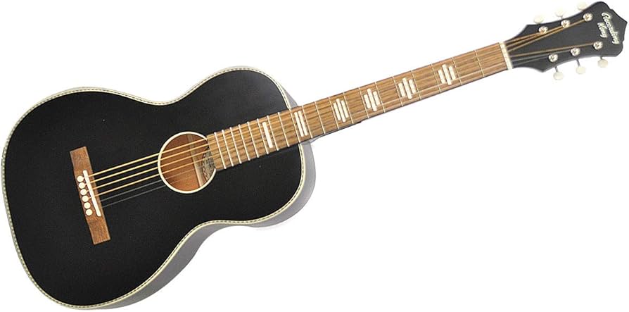 Amazon | RECORDING KING (レコーディングキング) アコースティック