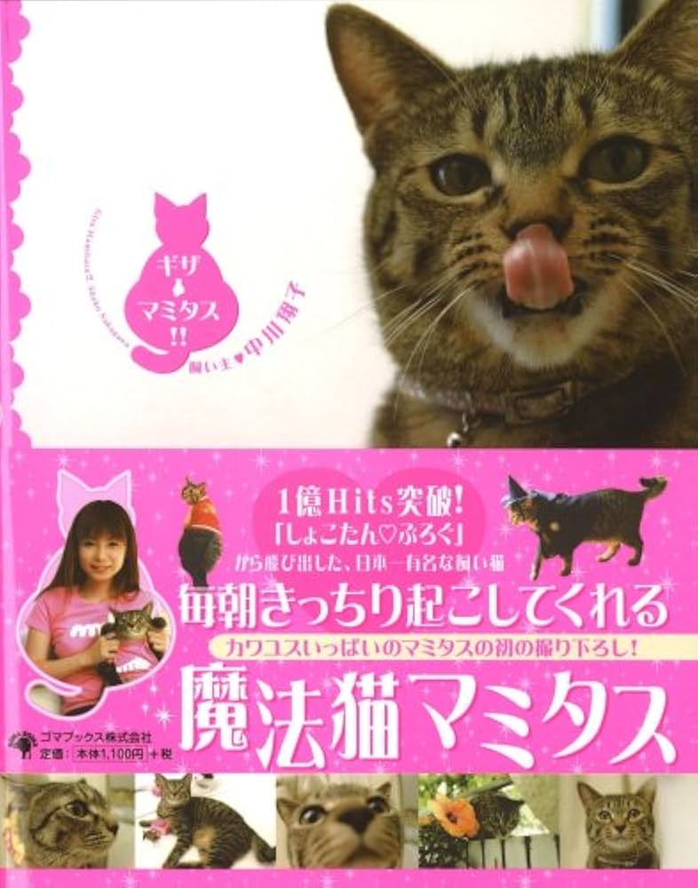 ギザ マミタス!! | 中川 翔子 |本 | 通販 | Amazon