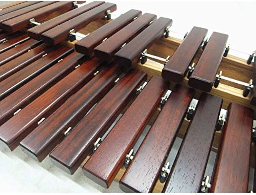 Amazon | コオロギ シロフォン 高級卓上木琴 ECO32【専用ソフトケース