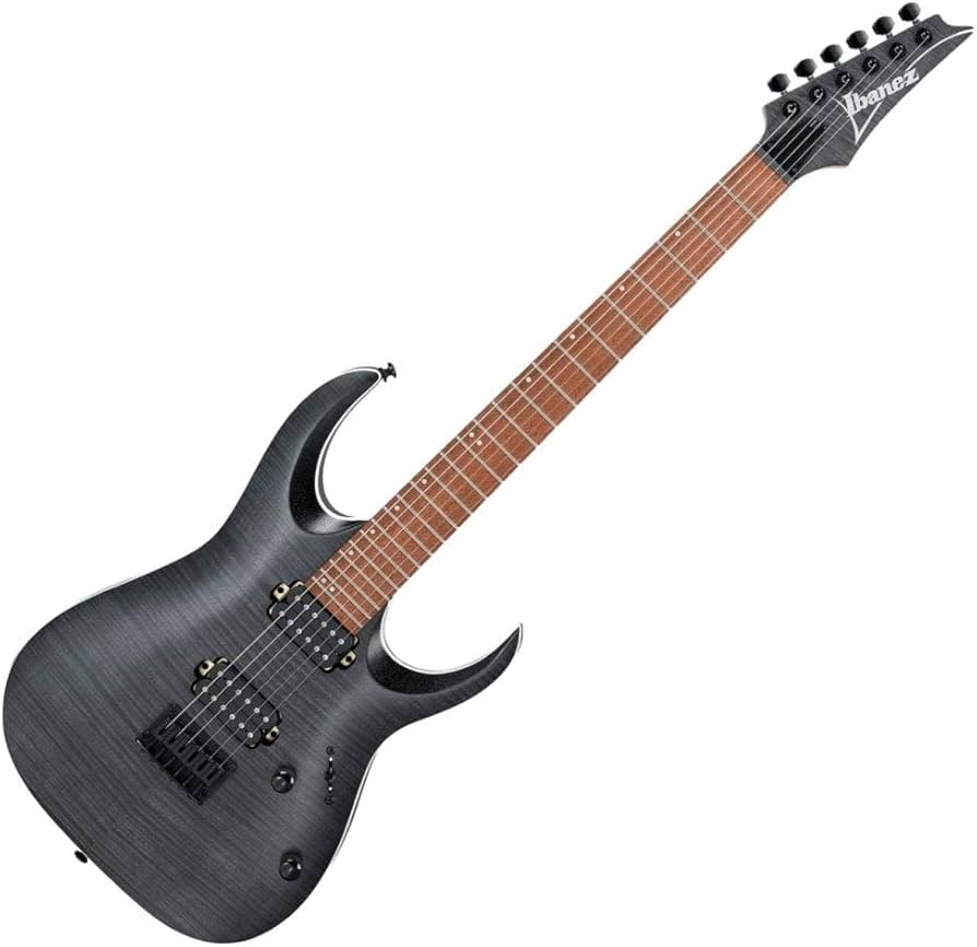Amazon.com: Ibanez Standard RGA42FM - Transparent Gray Flat