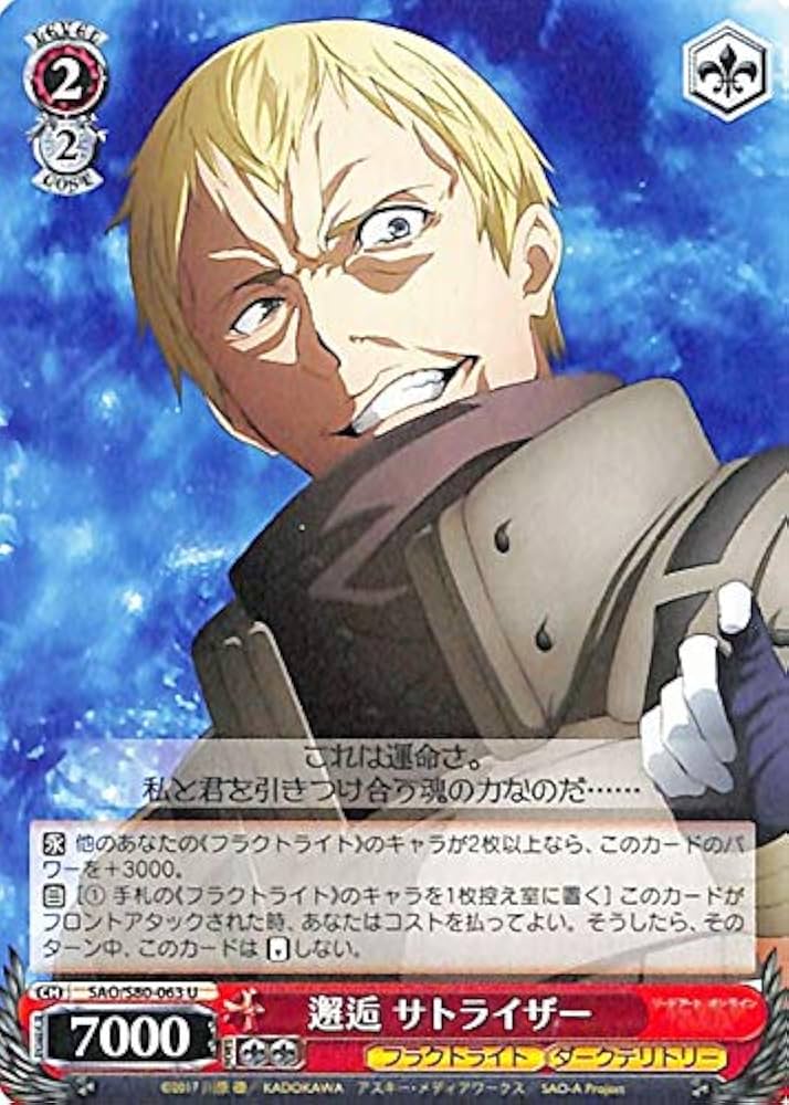 Amazon.co.jp: ヴァイスシュヴァルツ ソードアート・オンライン アリシ