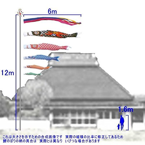 Amazon | キング印鯉のぼり 鯉のぼり 庭用 ナイロン鯉（五色吹流し）金