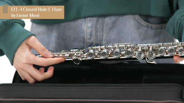Amazon.com: Eastar Closed Hole 16 Keys Flute for Beginner Kids