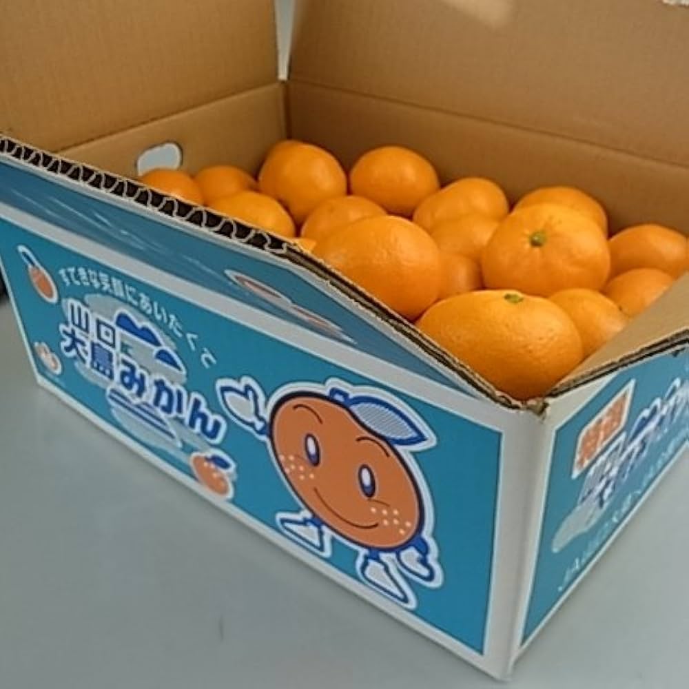 Amazon.co.jp: 『山口大島みかん 特選 5kg』（周防大島産みかん