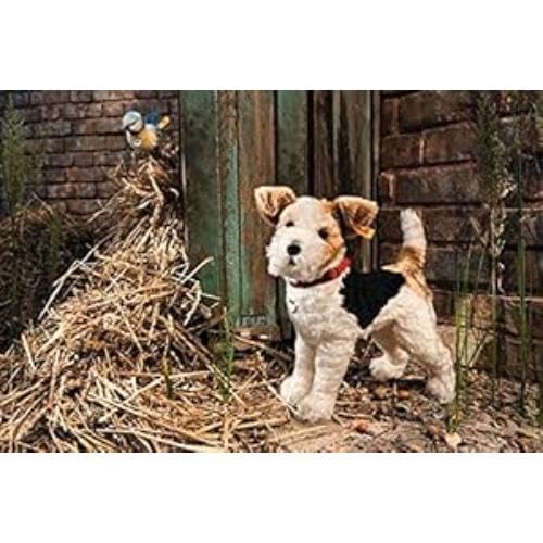 Amazon.co.jp: フォックステリアのフォクシー 35cm ぬいぐるみ : おもちゃ