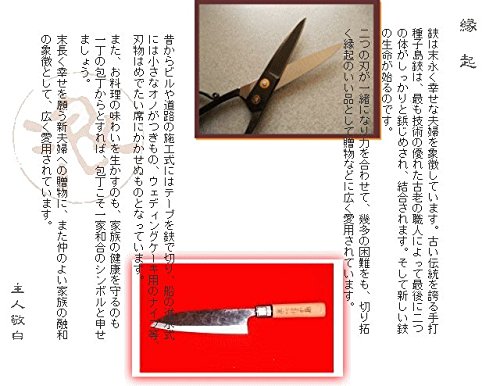 Amazon | 種子島本種 池浪刃物製作l所 種子鋏（たねばさみ）黒仕上げ 6