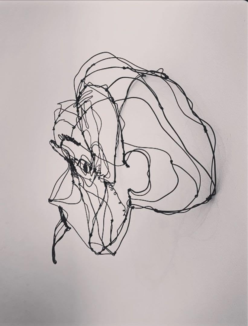 ワイヤーアート ワイヤークラフト チェ•ゲバラ 【公式通販】