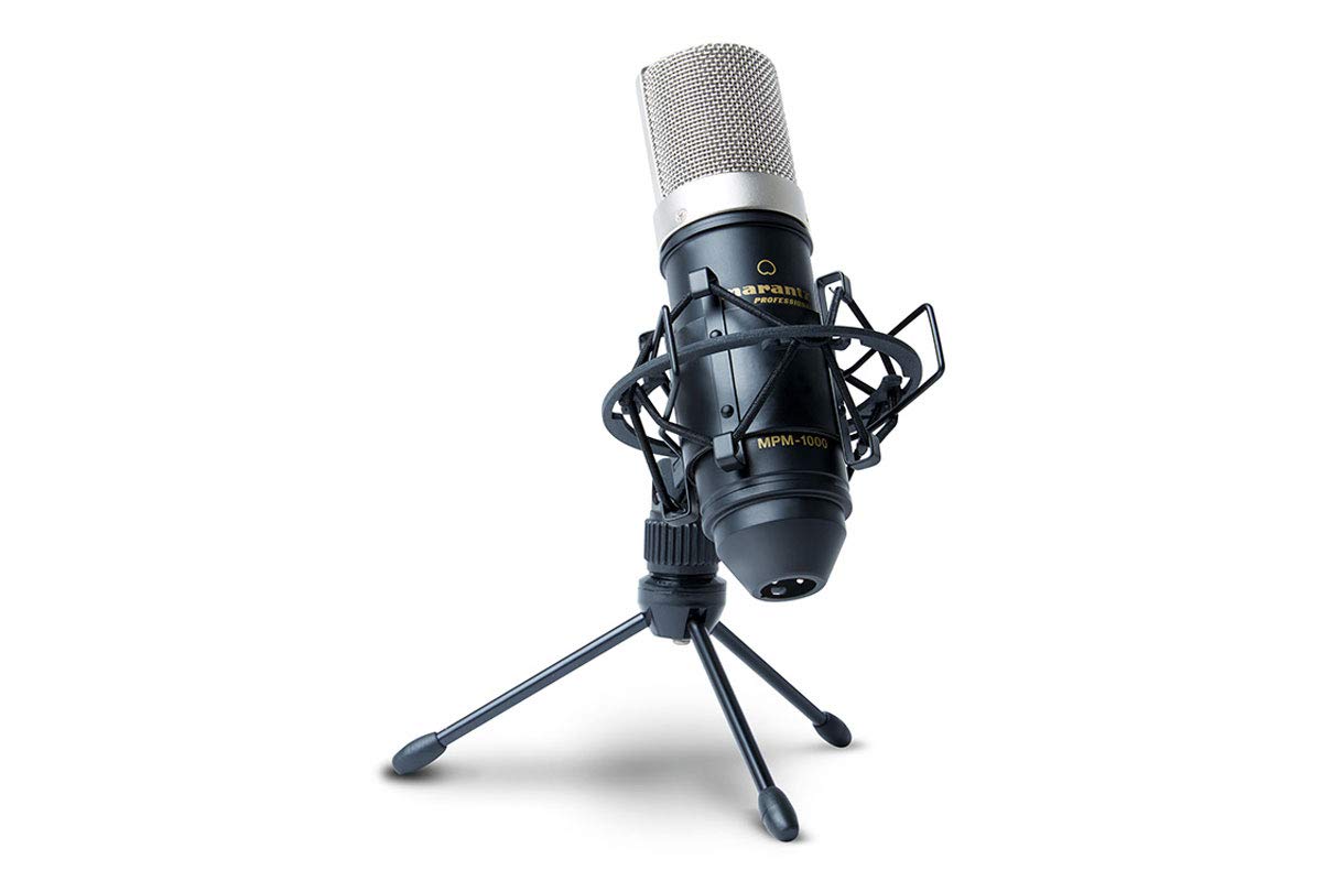 Amazon.co.jp: STEINBERG / UR22C USB3.0 コンデンサーマイクセット