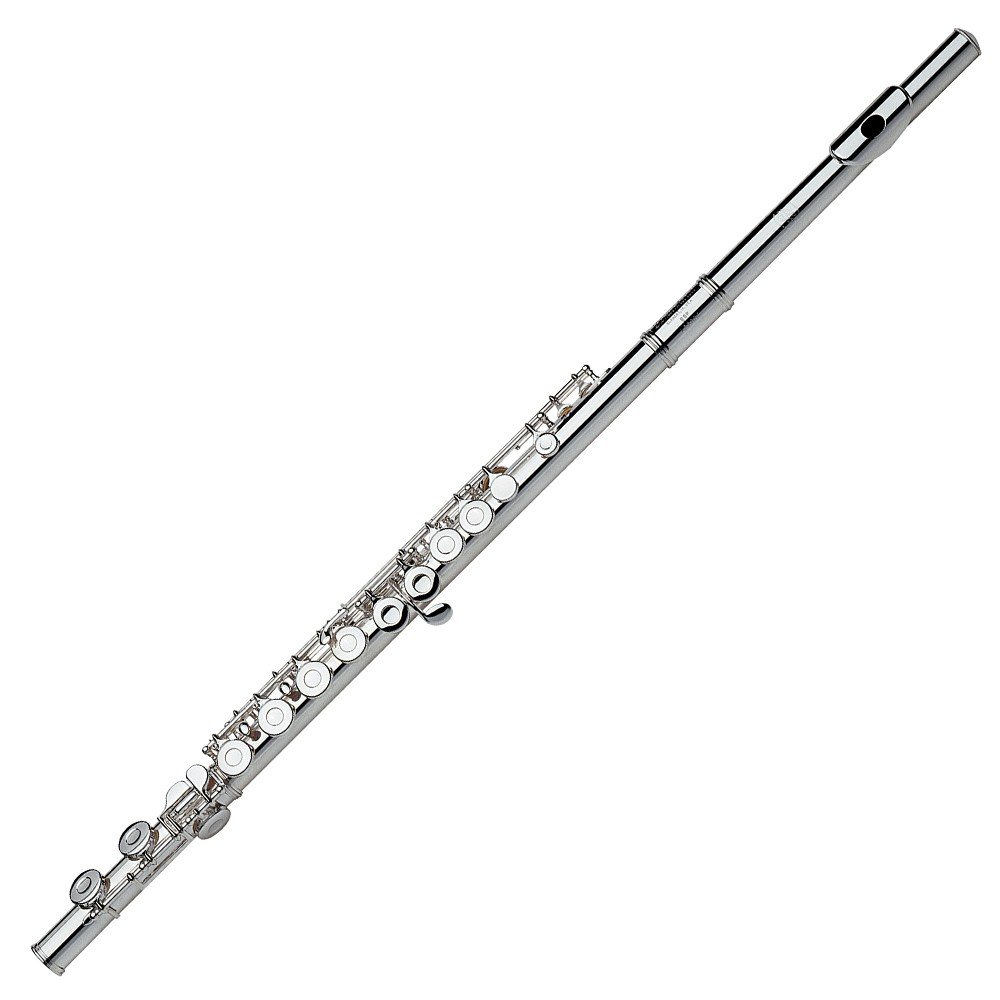 Amazon.com: Gemeinhardt 2SP Flute with Straight Headjoint