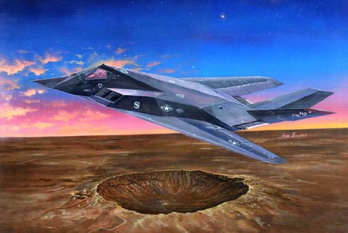 Amazon.com: Trumpeter 1/32 F117A Nighthawk Aircraft Model Kit