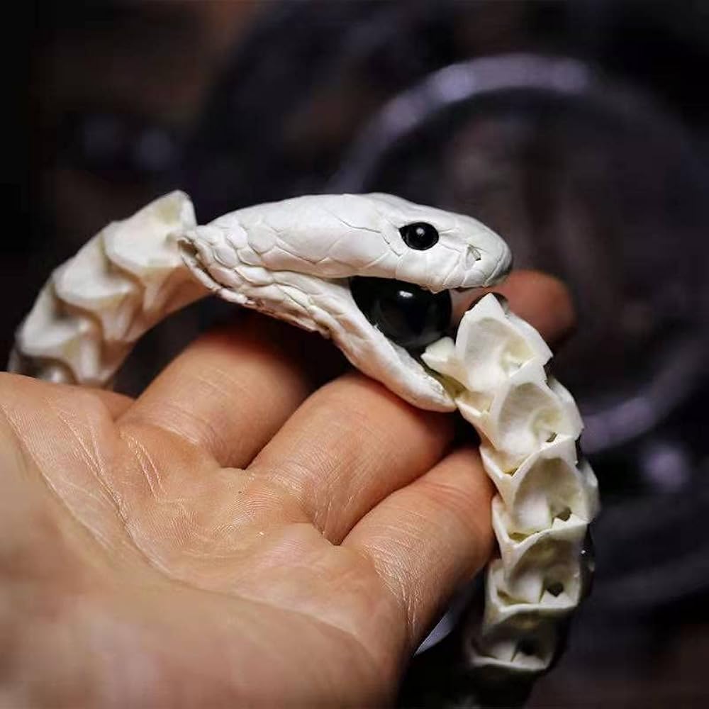 Amazon | [TRANST] 蛇骨 ブレスレット フリーサイズ ファッション