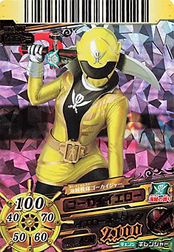 Amazon.co.jp: スーパー戦隊バトル ダイスオー 海賊戦隊ゴーカイジャー