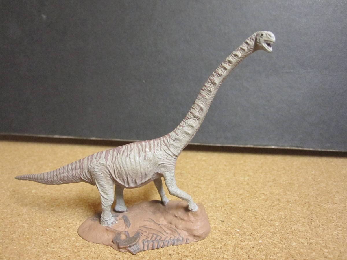 Amazon | ☆チュアンジエサウルス：リアルフィギュア☆海洋堂☆「驚異