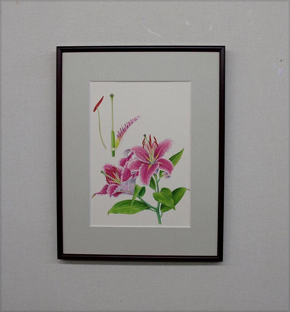 絵画】ボタニカルアート 「かのこゆり」原画 【公式通販】