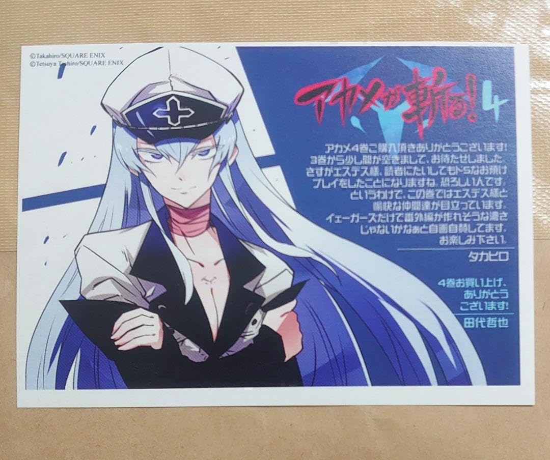 Amazon.co.jp: アカメが斬る 特典 イラストペーパー エスデス : おもちゃ