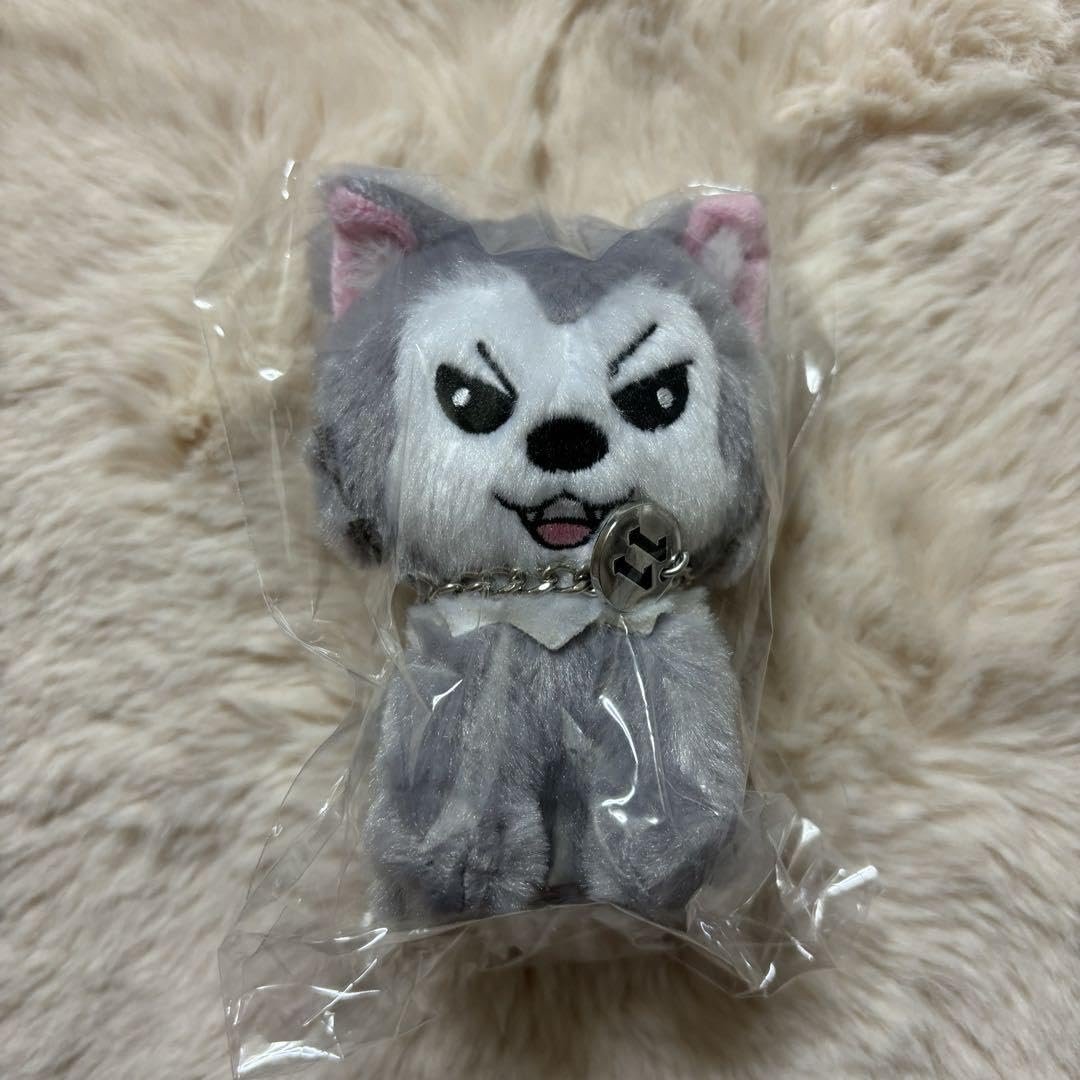 Amazon.co.jp: 超特急 シューヤ 生誕 ぬいぐるみ しゅがる : おもちゃ