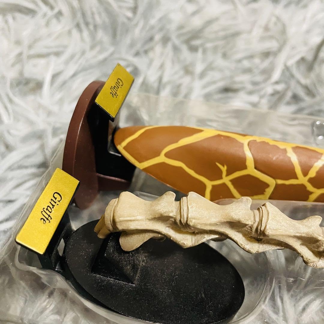 Amazon.co.jp: ツノのある動物図鑑 キリンBOX 国立科学博物館 標本