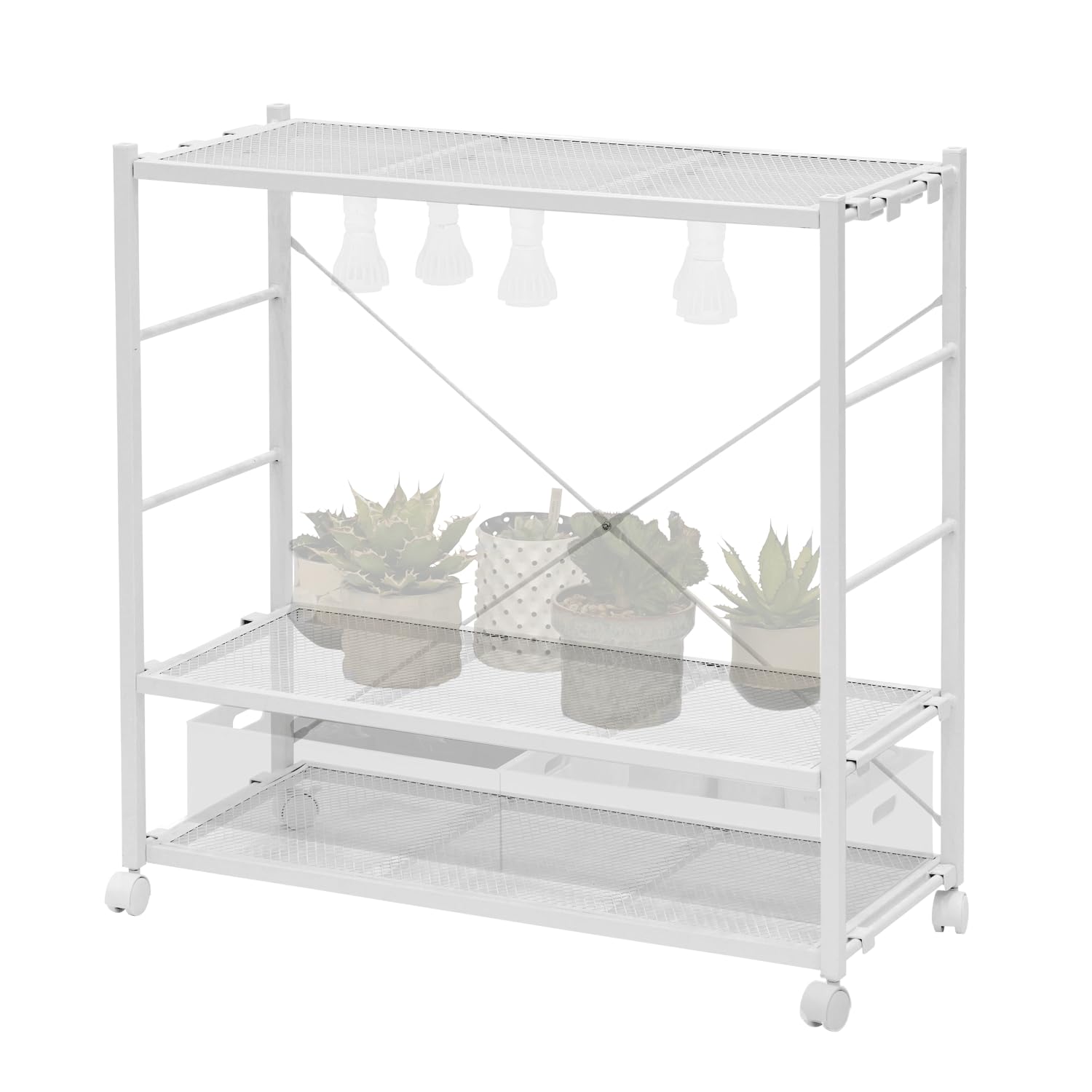 Amazon | BIBILAB(ビビラボ) ビザールプランツラック LPR-800-WH 植物