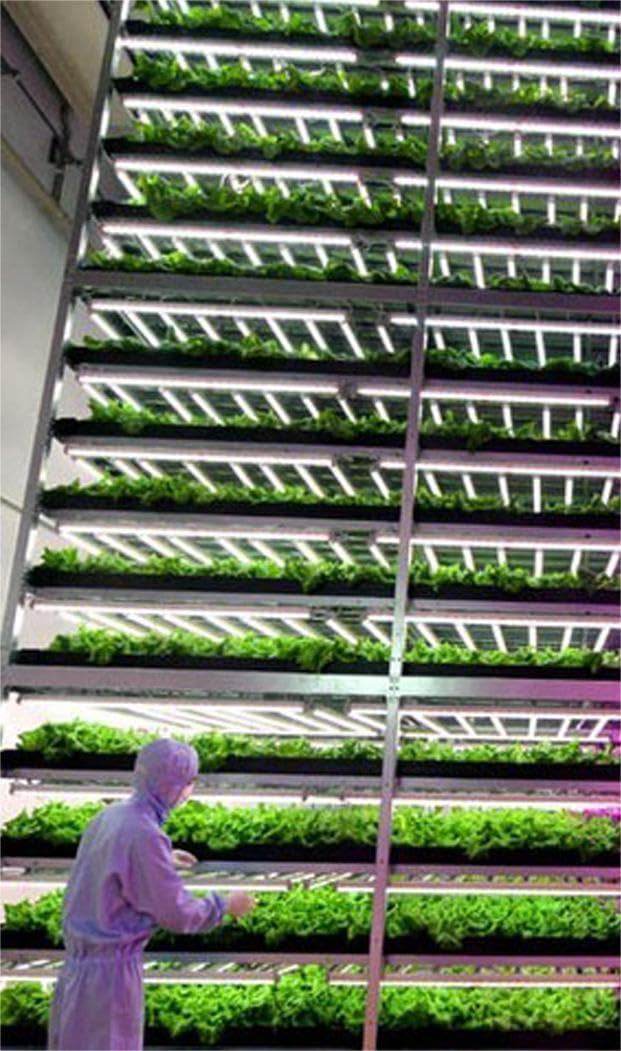 Amazon.co.jp: 【6本セット】植物育成ライト 全スペクトル LED蛍光灯直