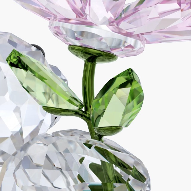 Amazon.com: Swarovski Kris Bear A Daisy for You : Home & Kitchen