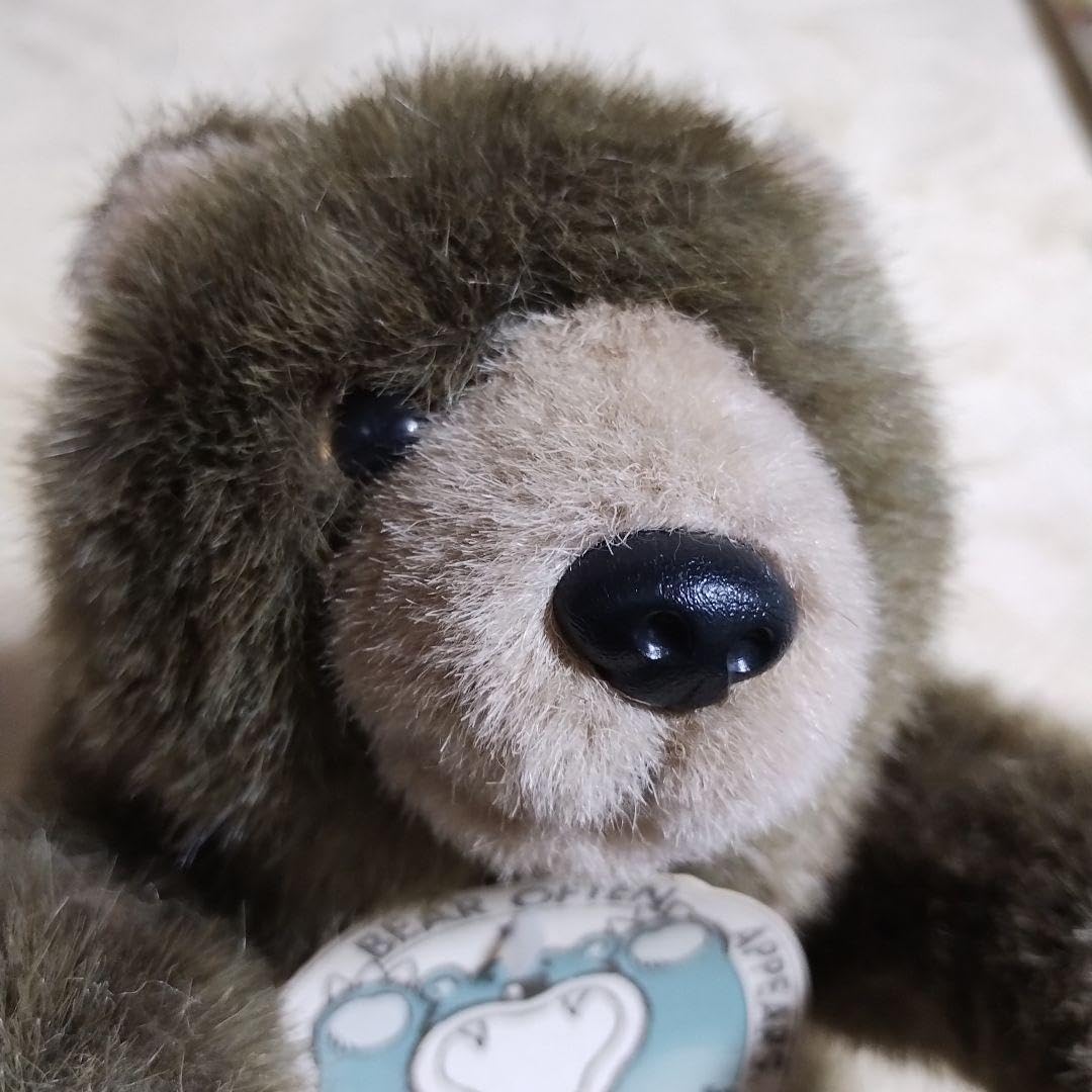 Amazon.co.jp: オオイケくまぬいぐるみ テディベア クマ OIKE レトロ