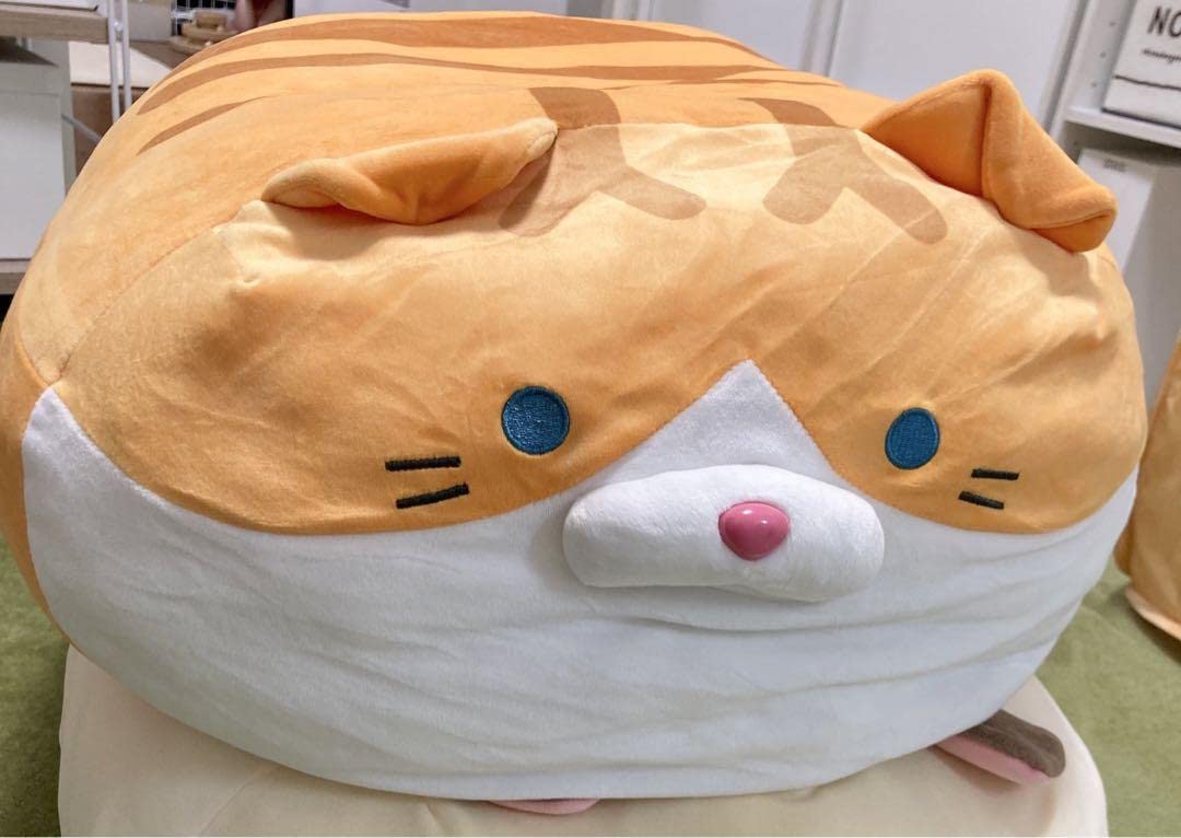 Amazon.co.jp: ごろねこ超サミット スズキ ごろねこサミット 猫 ねこ