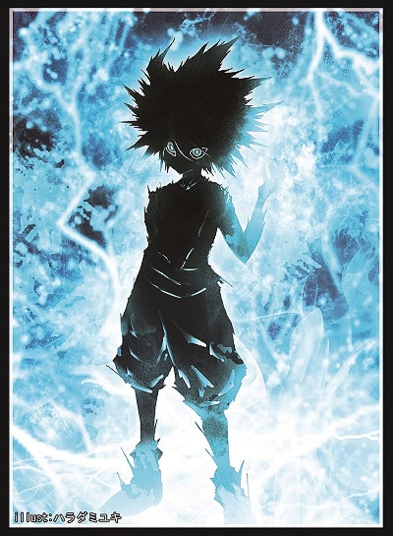 Amazon.co.jp: フレシア カードスリーブ ☆『HUNTER×HUNTER キルア