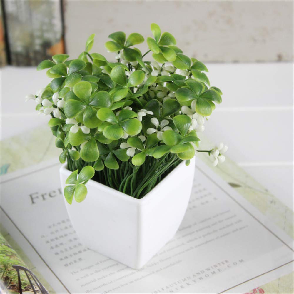 Amazon.com: JruF Small Square Four-Leaf Clover + Flower (White