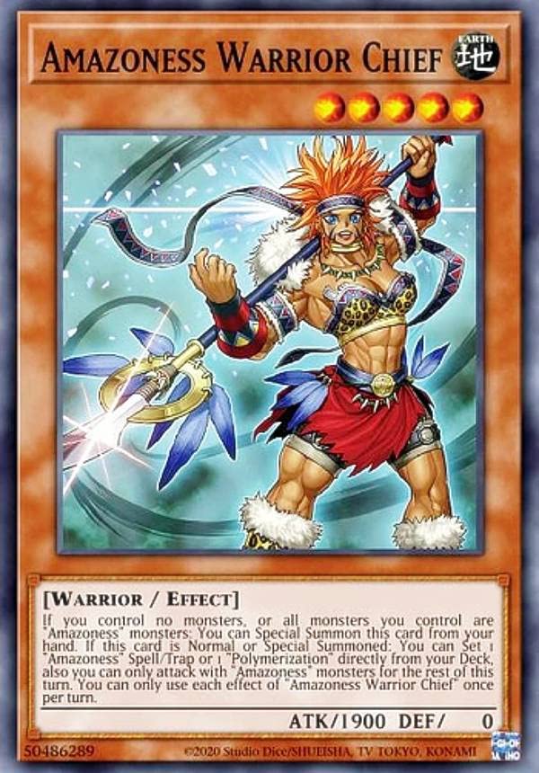 Amazon.co.jp: 遊戯王 DABL-EN095 アマゾネスの戦士長 Amazoness War