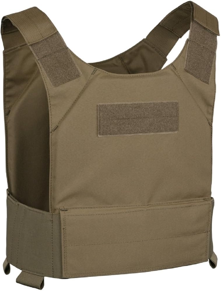 Amazon.co.jp: 実物 WARRIOR ASSAULT SYSTEMS WAS Covert Plate