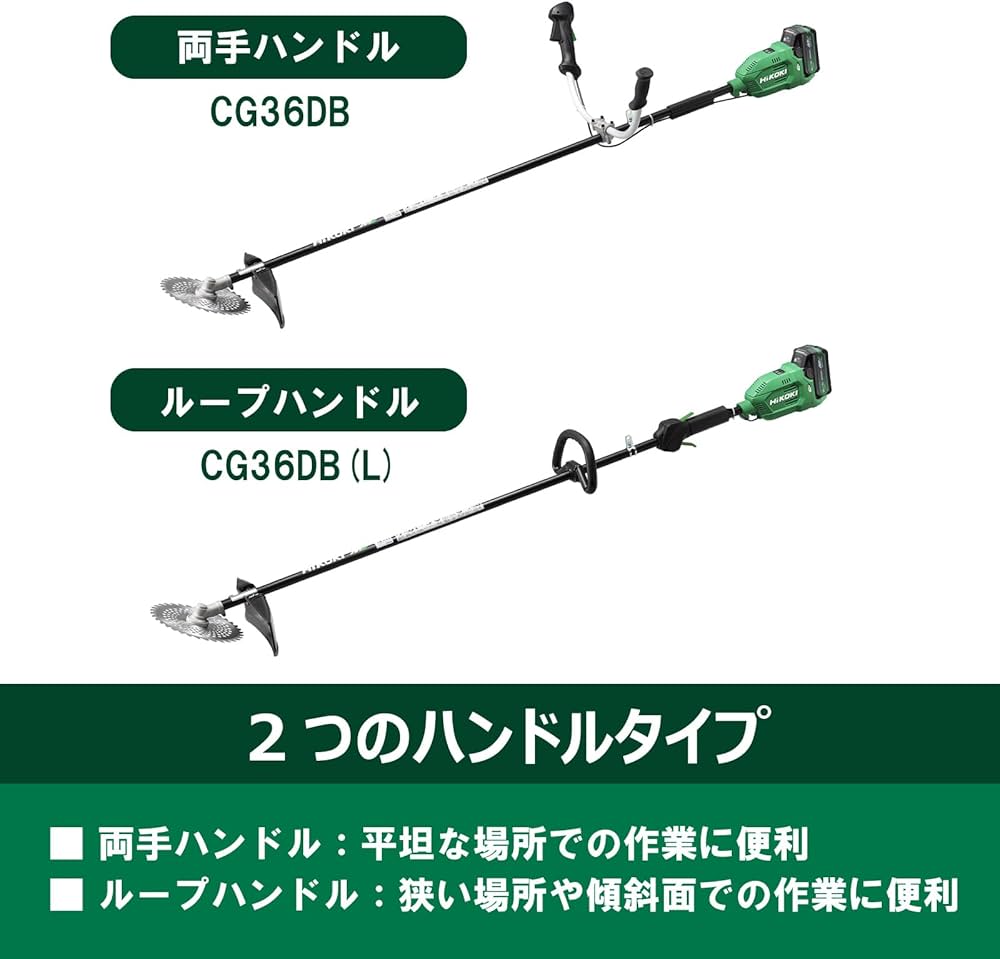 61TXr6rYDKL._AC_UF1000,