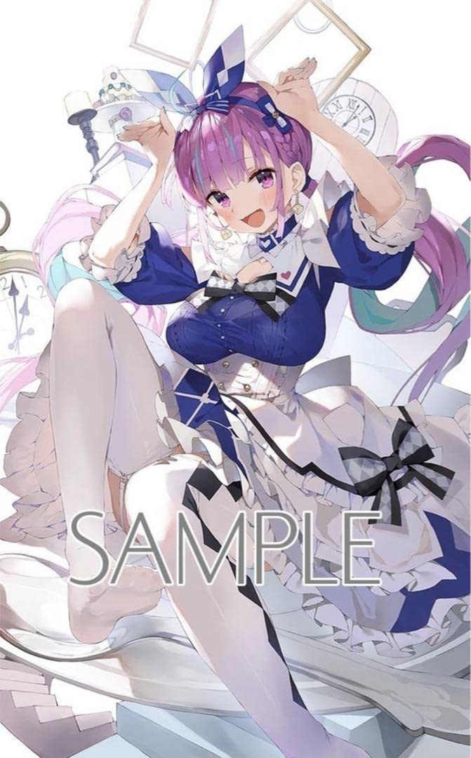 Amazon.co.jp: ホロ ライブ 湊あくあ タペストリー がおう まかろん