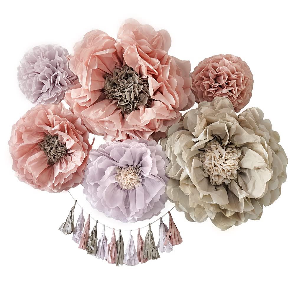 Amazon.co.jp: regalo: 100日祝・ハーフバースデー