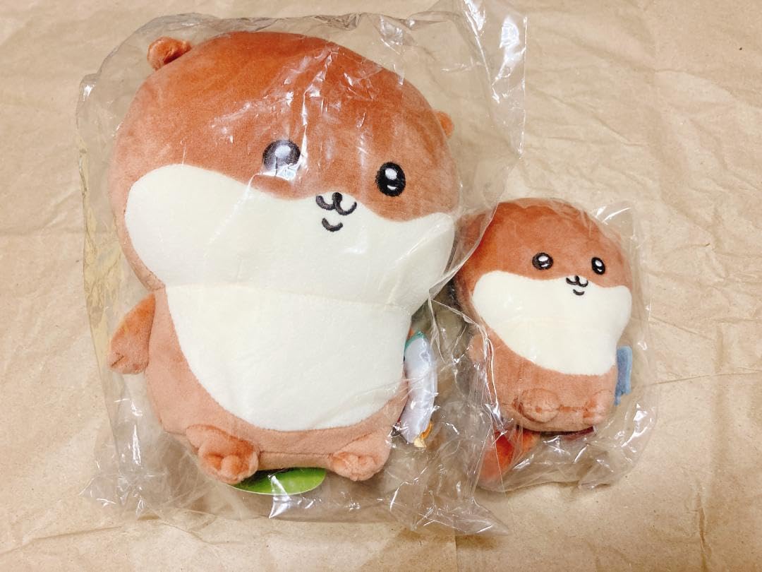 Amazon.co.jp: 新江ノ島水族館 えのすい ナガノのカワウソくじ