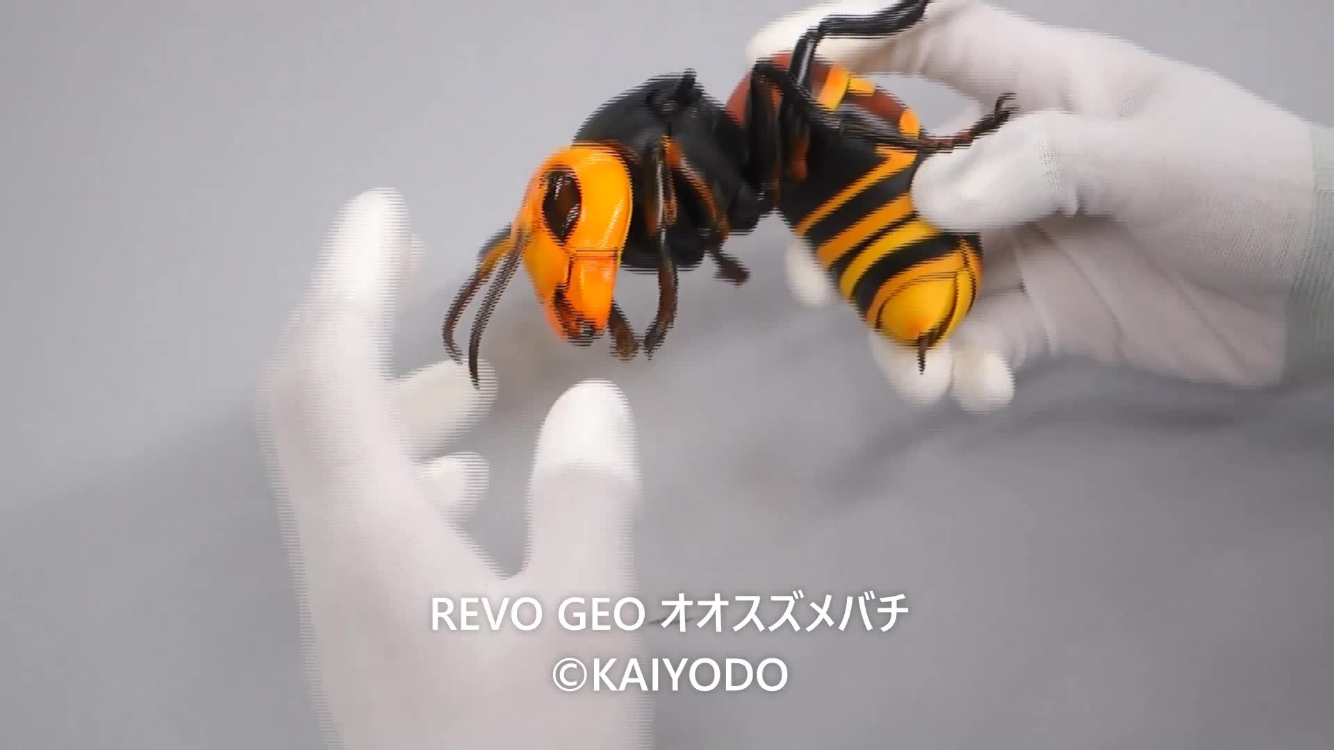 Amazon | 海洋堂 リボジオ オオスズメバチ 全長約180mm PVC & ABS製