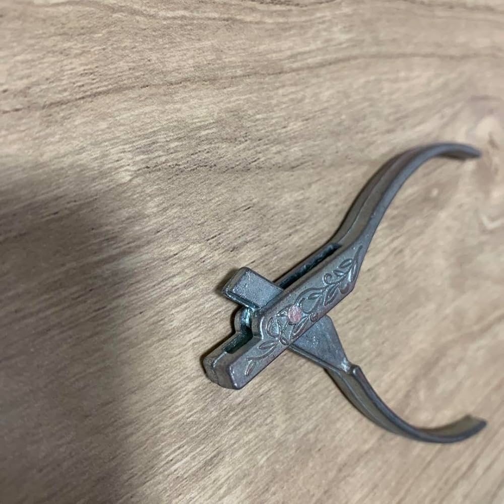 61fwfZivfIL._AC_UF1000,