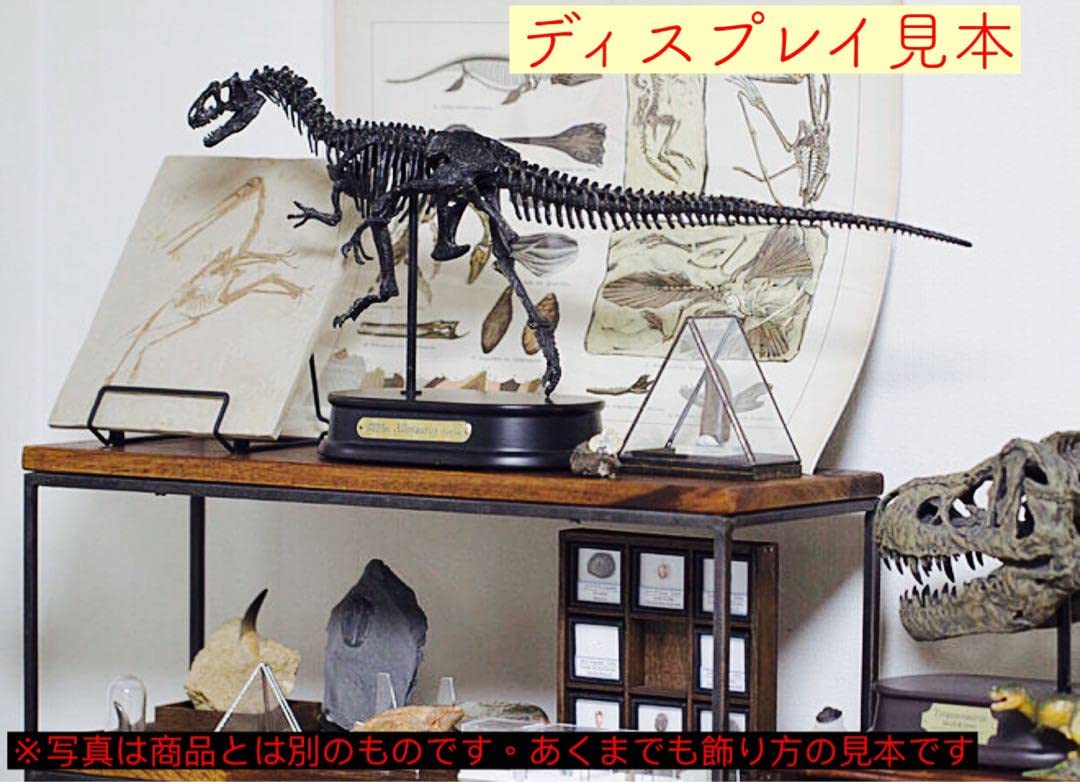 恐竜 玩具 アメリカ オブジェ 置物 インテリア 工芸品 美術品 A1284