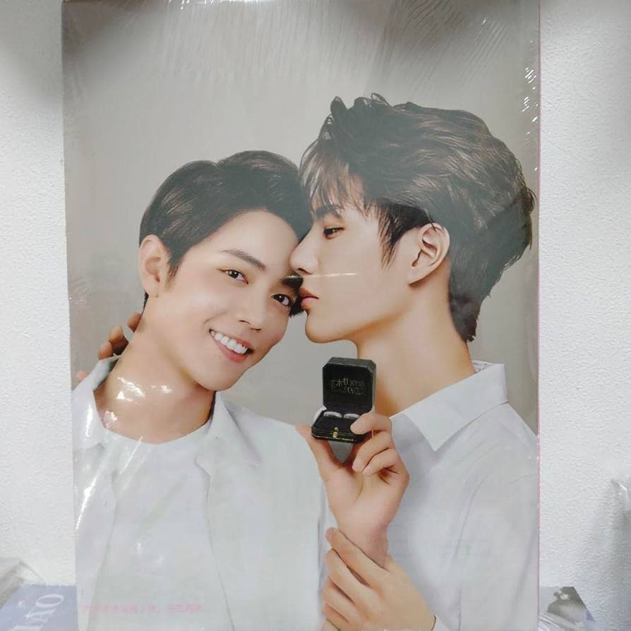 Amazon.co.jp: 博君一肖 写真集 肖戦 肖战 陳情令 王一博 シャオジャン