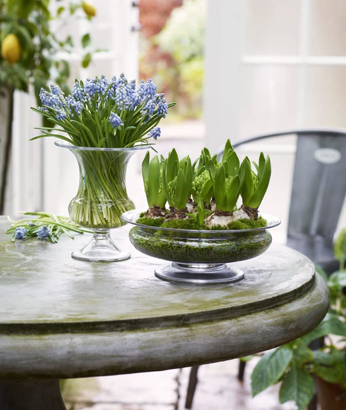 Amazon.co.jp: ホルムガード HOLMEGAARD OLD ENGLISH フラワーボウル φ