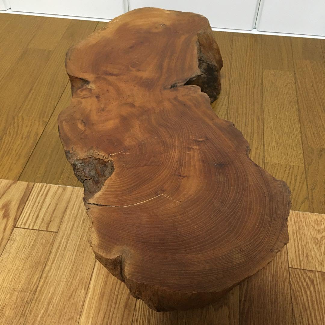 Amazon.co.jp: 1059 木の切り株 置物 木 鉢置き 台 花台 木の根 和