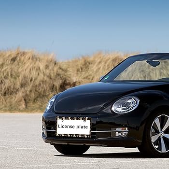 Amazon.co.jp: 浜崎あゆみ ナンバーフレーム 車用 ナンバープレート