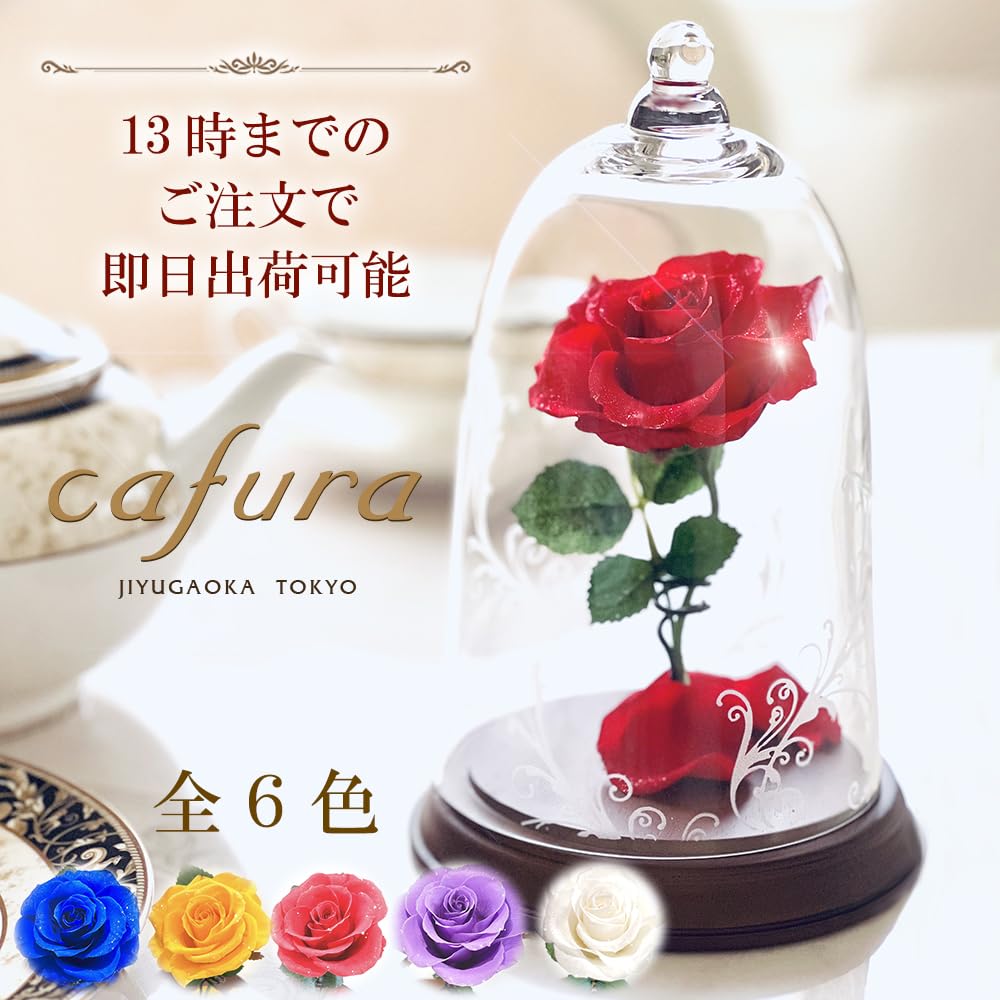 Amazon｜美女と野獣 バラ ガラスドーム 天然ダイヤ付き 真実の愛の