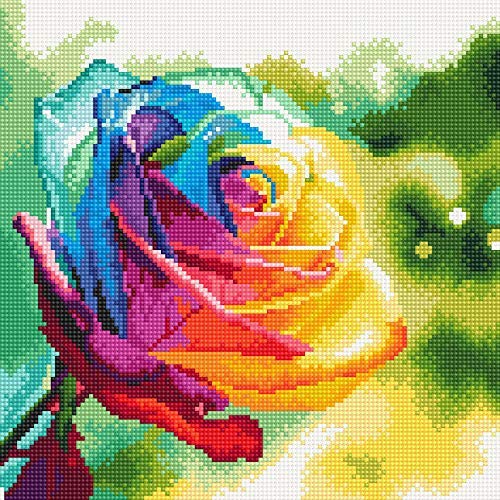 Amazon | Dreamer Designs - 虹の上 5D ダイヤモンドペインティング