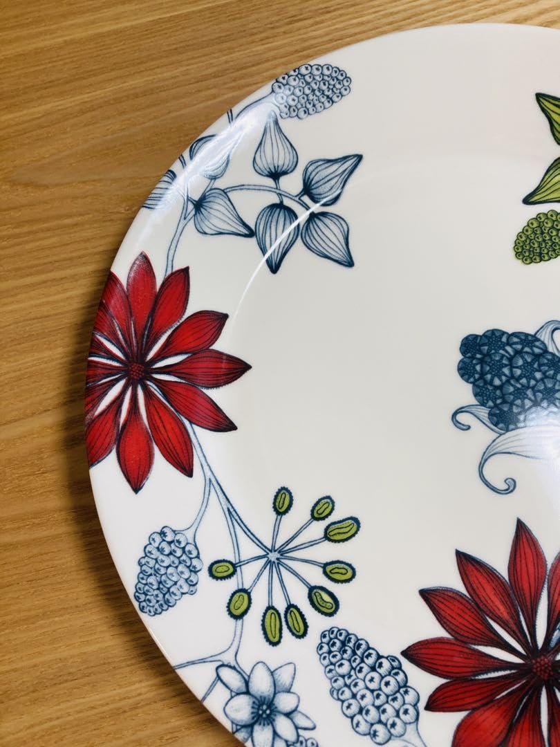 Amazon.co.jp: アラビア ルノ サマーレイ 26cmプレート ARABIA Runo 旧