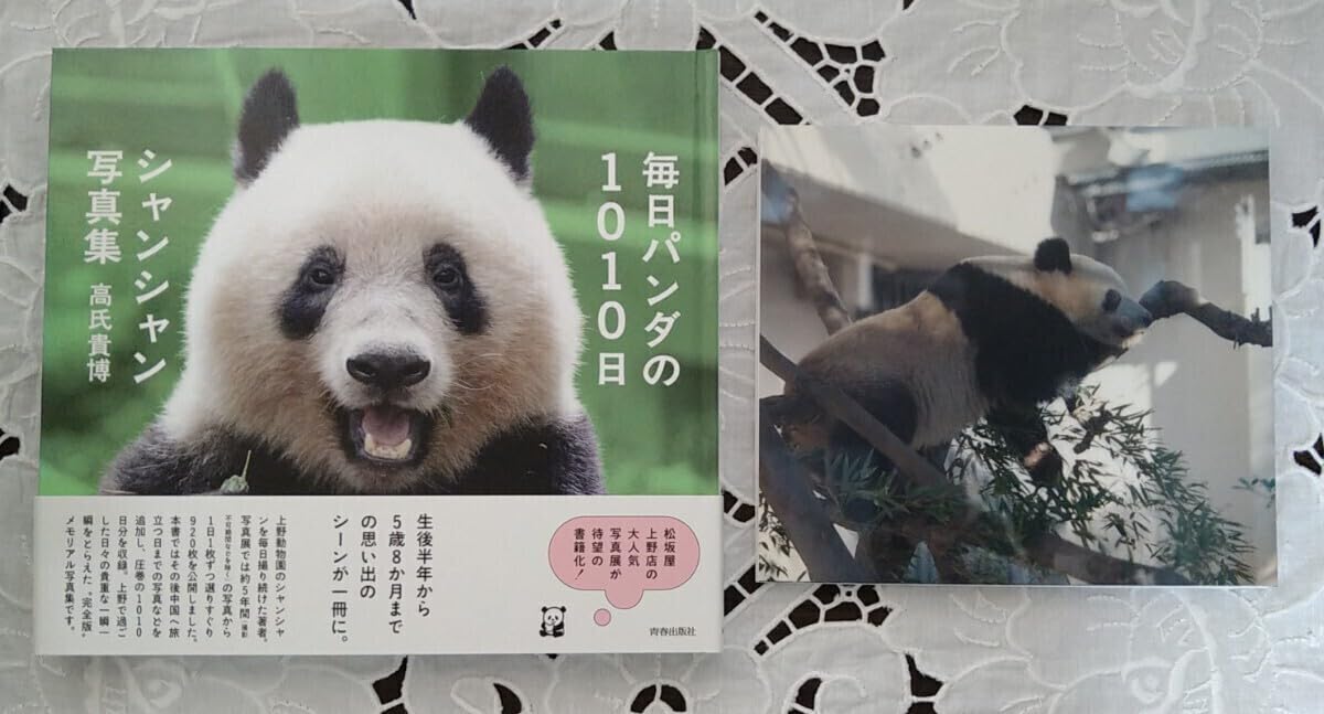 Amazon.co.jp: 毎日パンダの1010日 シャンシャン写真集 高氏貴博氏著