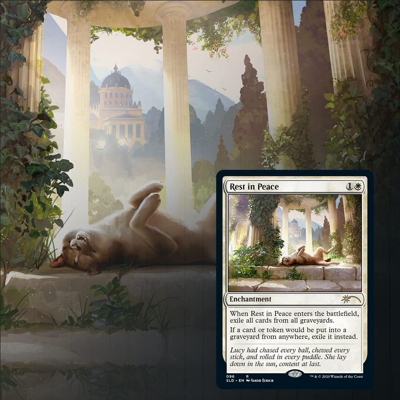 Amazon.com: Magic The Gathering: Secret Lair - Every Dog Has Its