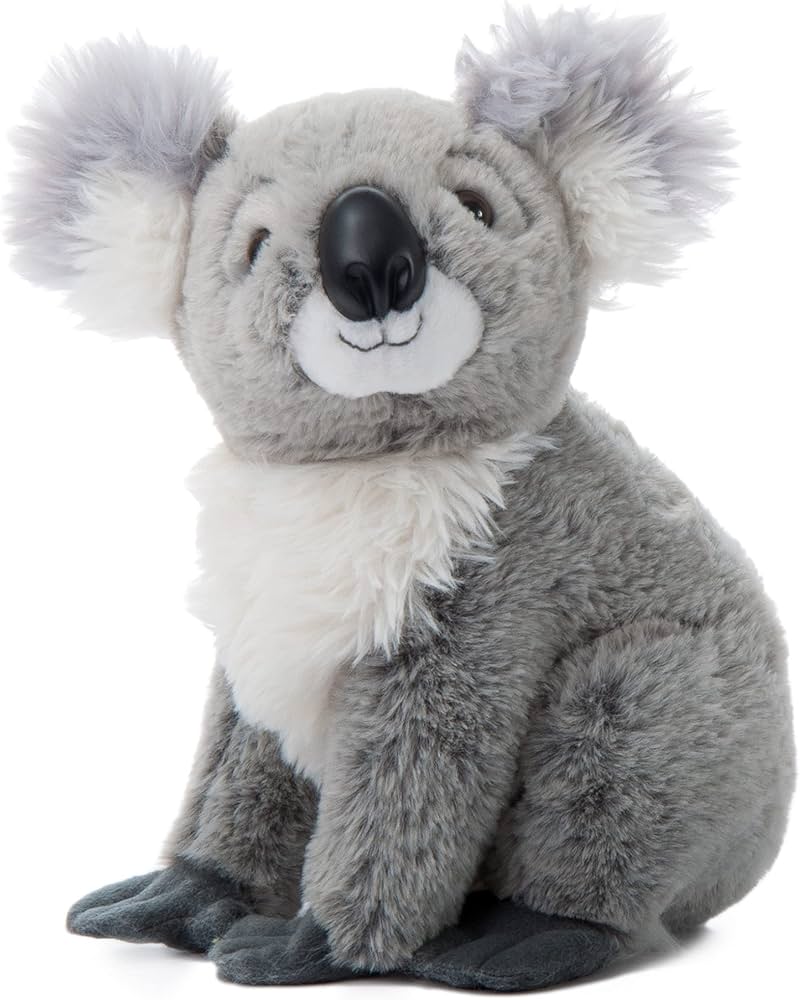 Amazon.com: The Petting Zoo Koala Stuffed Animal, Gifts for Kids