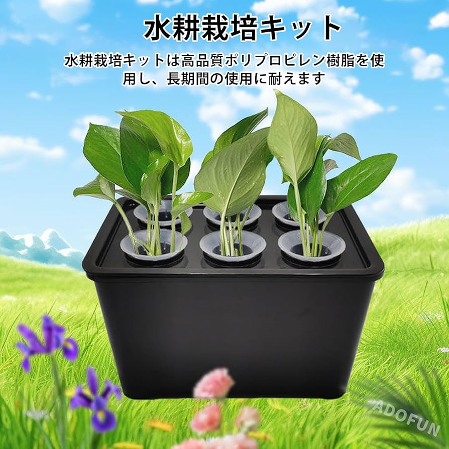 Amazon｜ADOFUN 水耕栽培キット 無土壌栽培ボックス 6穴 水耕栽培 家庭